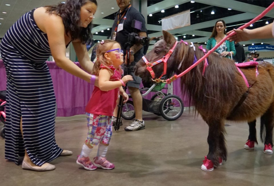 Everyone loves therapy horses. Photo courtesy of Abilities Expo