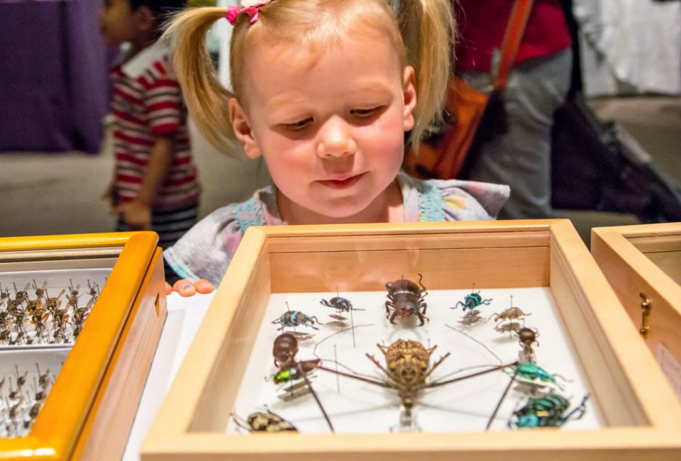 Bugfest. Photo courtesy of Academy of Natural Sciences 