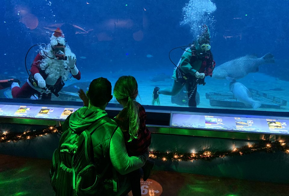 Santa dives into the Adventure Aquarium. Photo courtesy of the aquarium