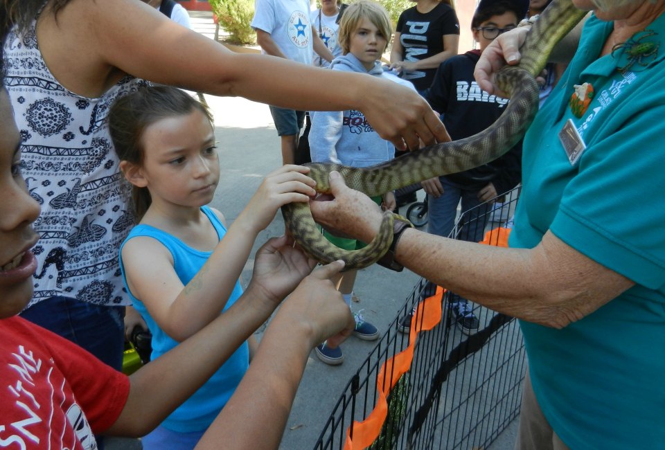 animal encounter!