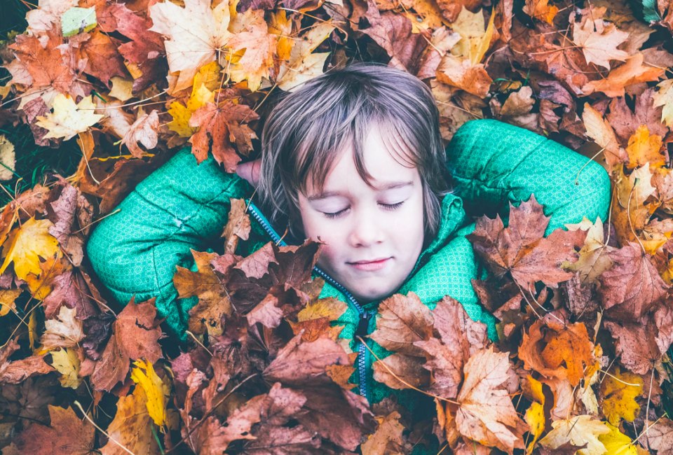 Get outside and explore nature this Veterans Day Weekend in Boston! Photo by Annie Spratt, courtesy of Unsplash