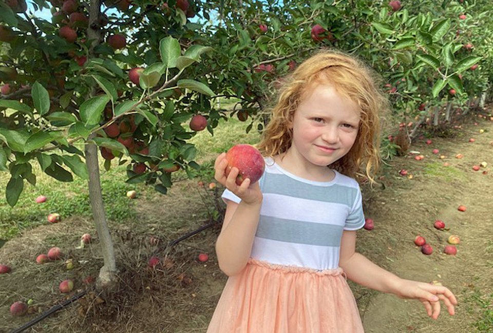 Head to Johnson's Locust Hill Farm for apple picking and tons of fall-themed fun. Photo by Lisa Warden