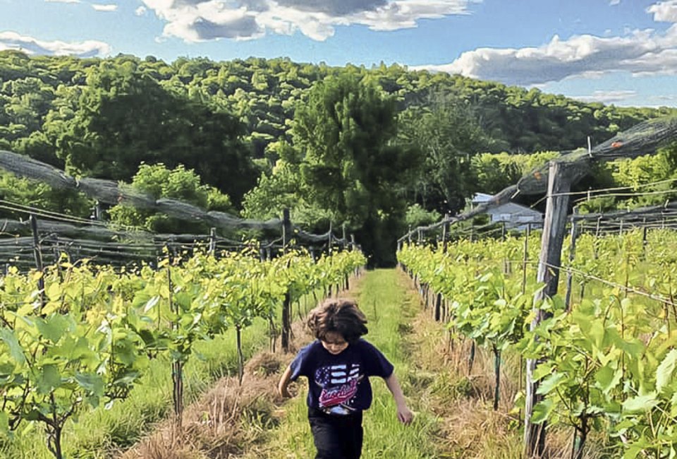 Run through the vineyards at Aquila's Nest. Photo courtesy of Aquila's Nest, Facebook