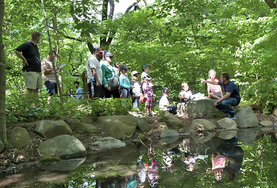 Join the Prospect Park Alliance for free Arbor Day fun with nature games and an exhibit in Brooklyn’s last remaining forest. Photo by Virginia Freire