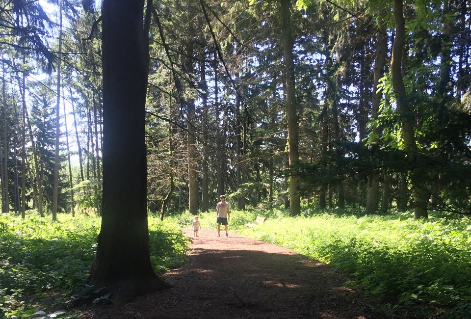 There are both woodland and paved trails at the Morton Arboretum. Photo by Maureen Wilkey