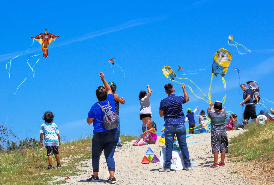 Photo courtesy of Ascot Hills Kite Flying Festival