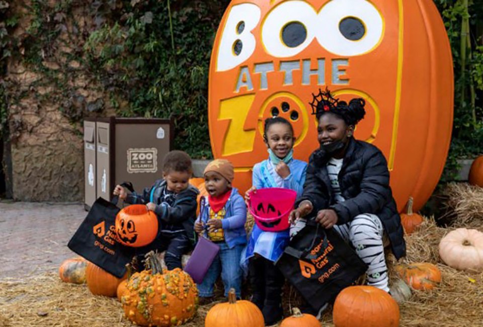 Boo at the Zoo runs for four magical days in October. Photo courtesy of Zoo Atlanta