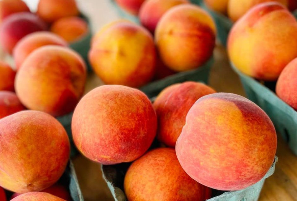 Fill your basket with Georgia Peaches at Dickey Farms. Photo courtesy of the farm