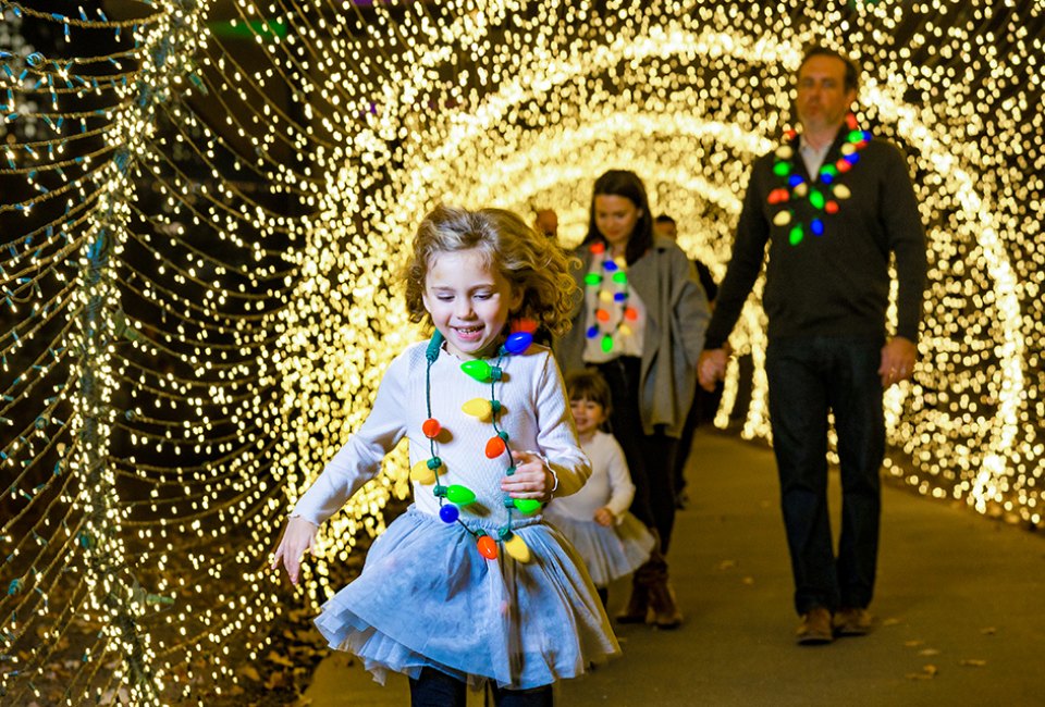 Millions of twinkling lights completely transform the Atlanta Botanical Garden into the magical winter wonderland of Garden Lights, Holiday Nights. Photo courtesy of the garden