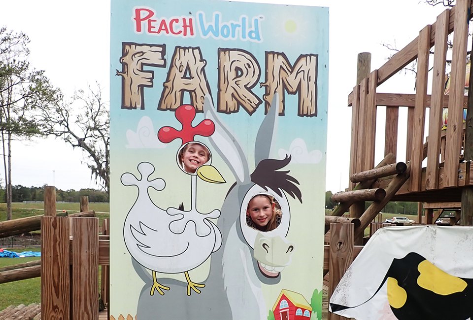 Take a fun-filled break from the drive along I95 and let loose at the ultimate rest stop: Georgia Peach World Farm.