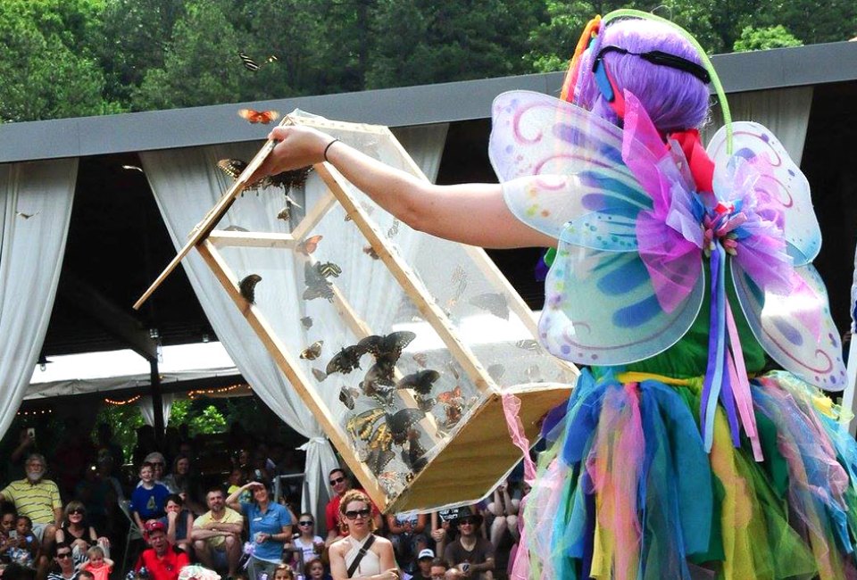 Kids can enjoy all things butterflies at the 24th Annual Flying Colors Butterfly Festival at the Chattahoochee Nature Center. Photo courtesy of the center, 