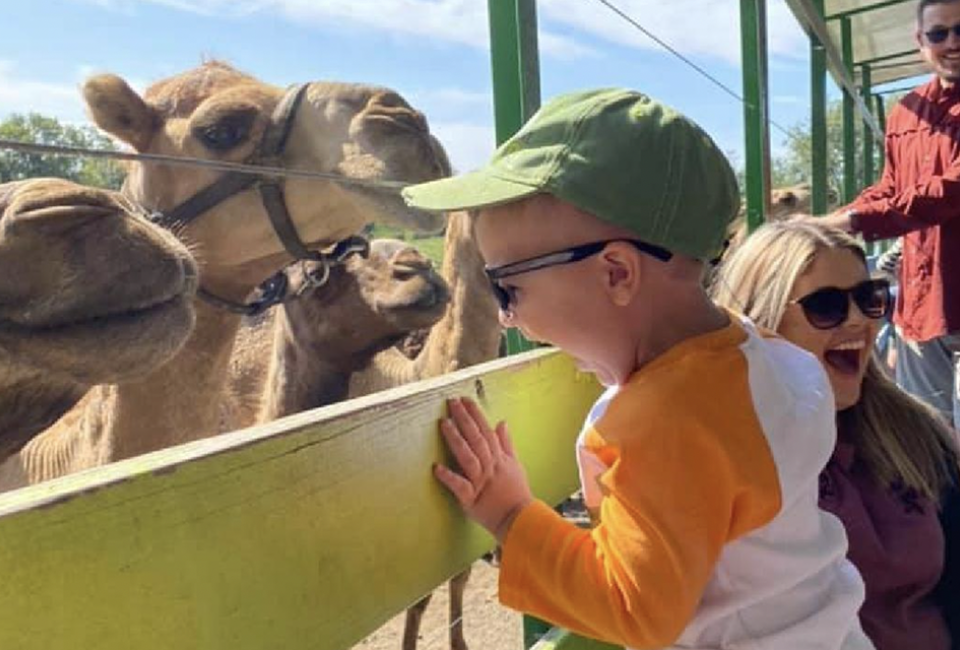 Pettit Creek Farms is home to exotic animals from around the globe.