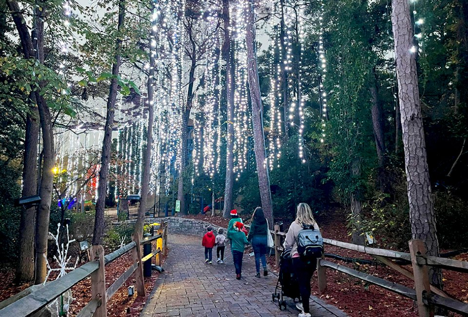 Take a stroll through the Musical Frosted Forest during a Stone Mountain Christmas.