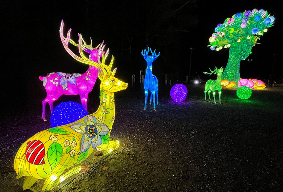 Head to the Gwinnett County Fairgrounds to walk through an outdoor maze of over 1,000 illuminated Chinese lanterns at the Winter Lantern Festival. Photo by Rebecca Ruffin Leffler