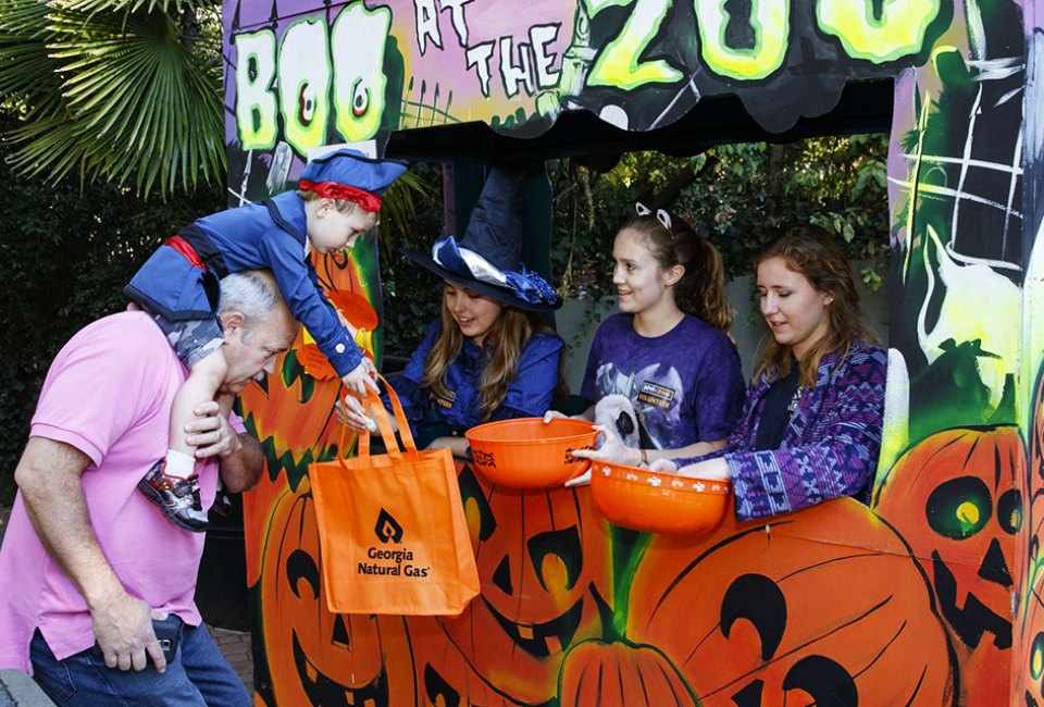 Trick or treat, snap cute photos, enjoy themed entertainment, and more at Zoo Atlanta's Boo at the Zoo. Photo courtesy of Zoo Atlanta