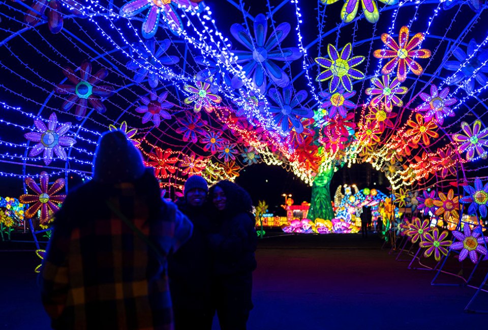 Witness interactive light swings, tunnels, and creatures composed of artisan lanterns at the Winter Lantern Festival. Photo courtesy of the festival via Fever