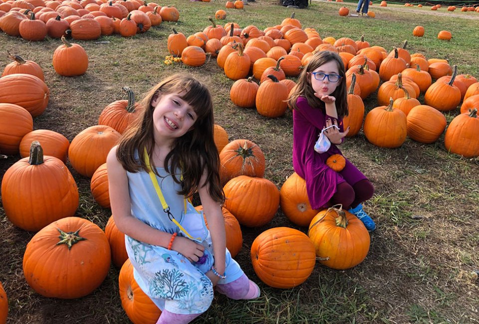 Pick the perfect pumpkin at Berry Patch Farm in October. Photo by Melanie Preis