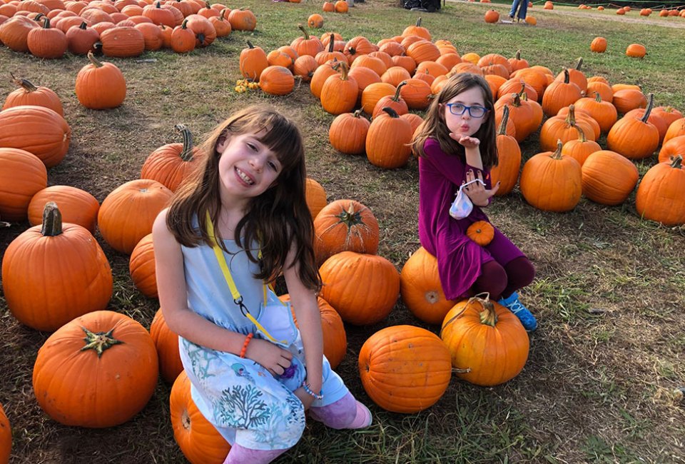 Awesome Atlanta Pumpkin Patches for Fall Fun Mommy Poppins