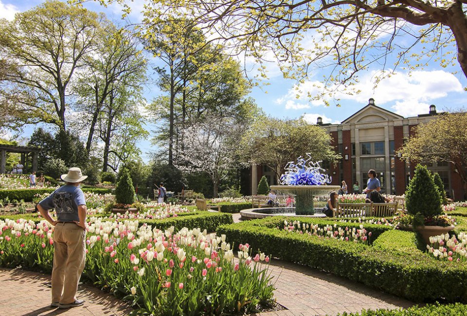 Atlanta Botanical Gardens always offers a dazzling display of color and beauty.