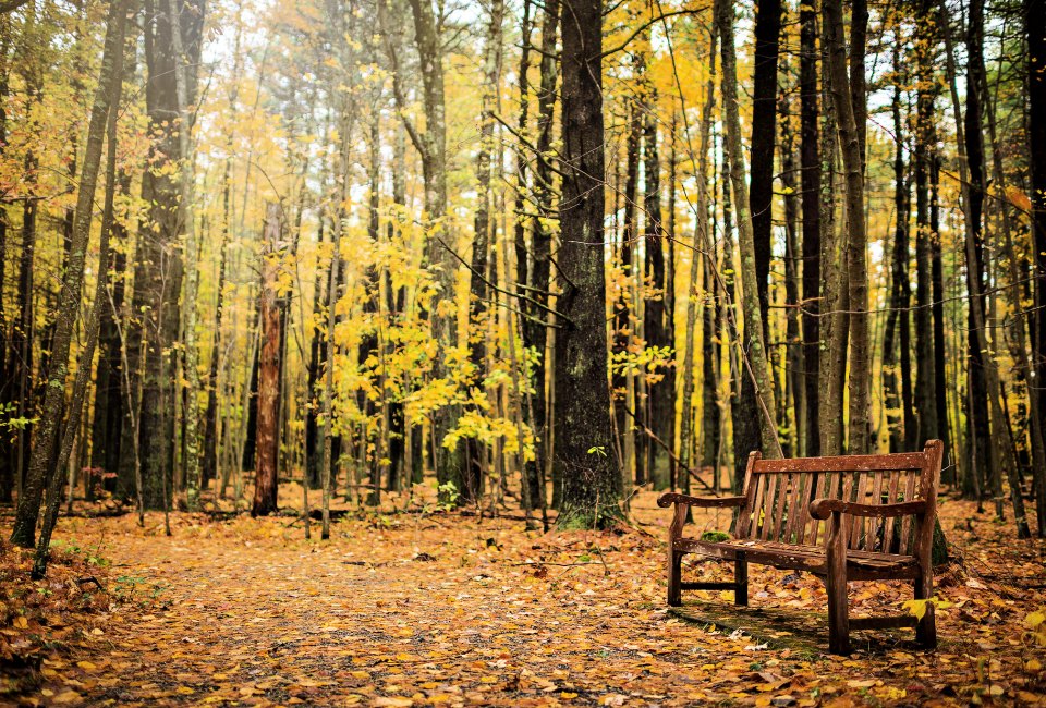 Autumn at Tower Hill Botanic Garden. Photo by Troy Thompson