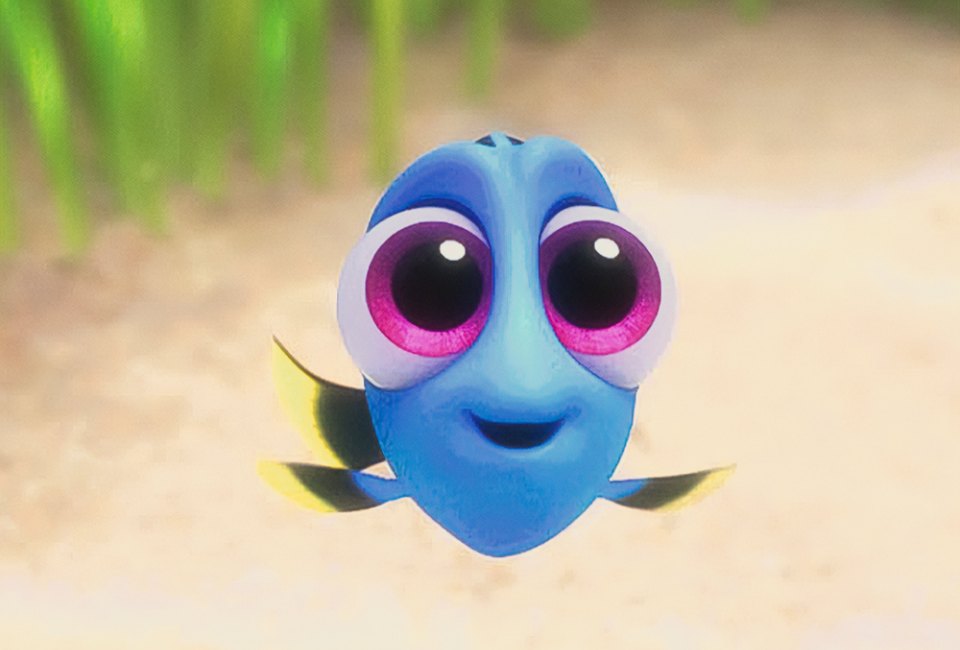 Finding Dory is a classic Pixar film! Image courtesy of Pixar/Walt Disney Pictures