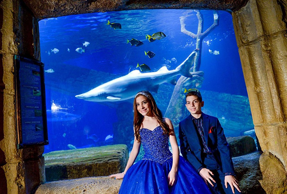 It's hard to beat the Long Island Aquarium when you're looking for a show stopping backdrop to your bar mitzvah celebration. Photo courtesy of the venue