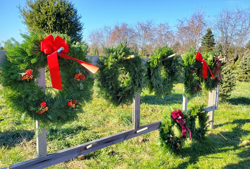evergreen wreaths at Barclay's Tree Farm christmas tree farm nj