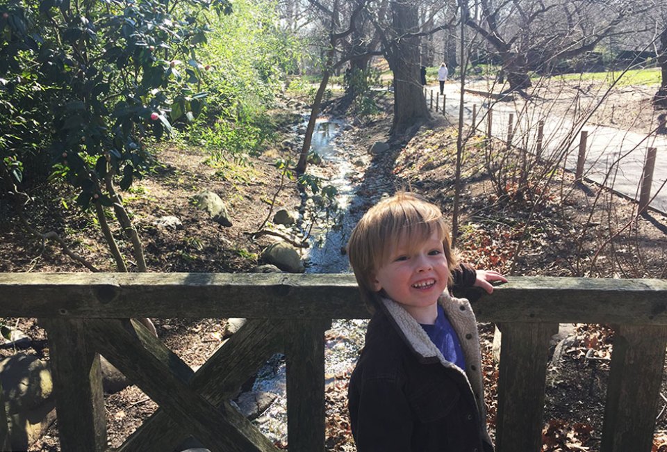 Best things to do with preschoolers in NYC: Brooklyn Botanic Garden