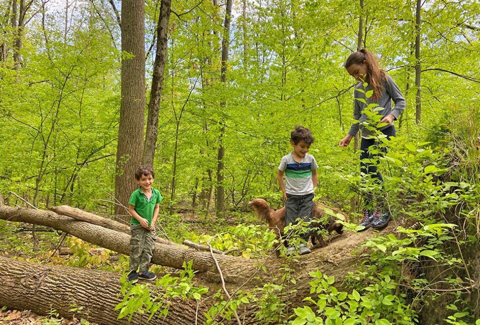 Take a hike with your little one on a family day trip from NYC.