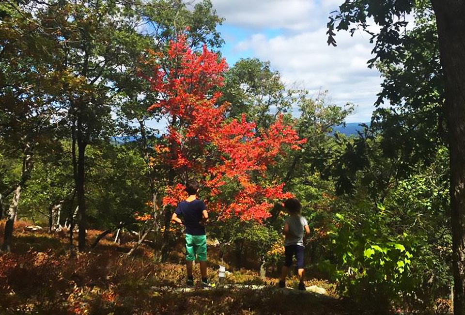 Bear Mountain offers a great first hike for kids. Photo by Anne Grego