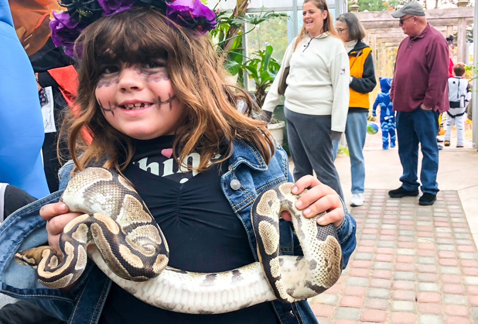 Thinks are getting extra spooky (and a little slithery) for Halloween Weekend 2023 in Connecticut! Boo at the Beardsley Zoo photo by Ally Noel, for Mommy Poppins