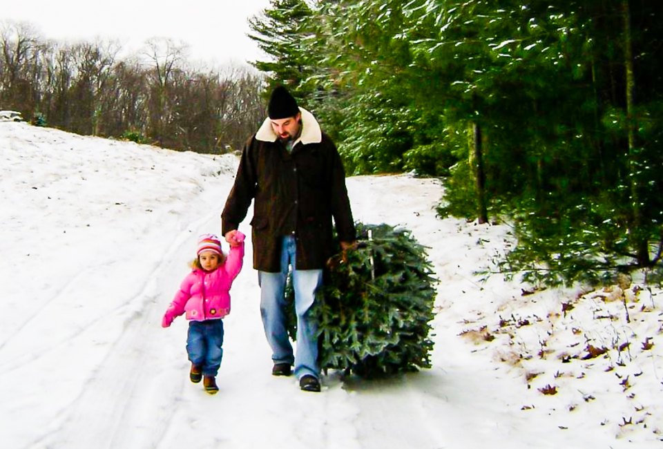 Photo of parent and Child walking at a Christmas tree farm near Boston.