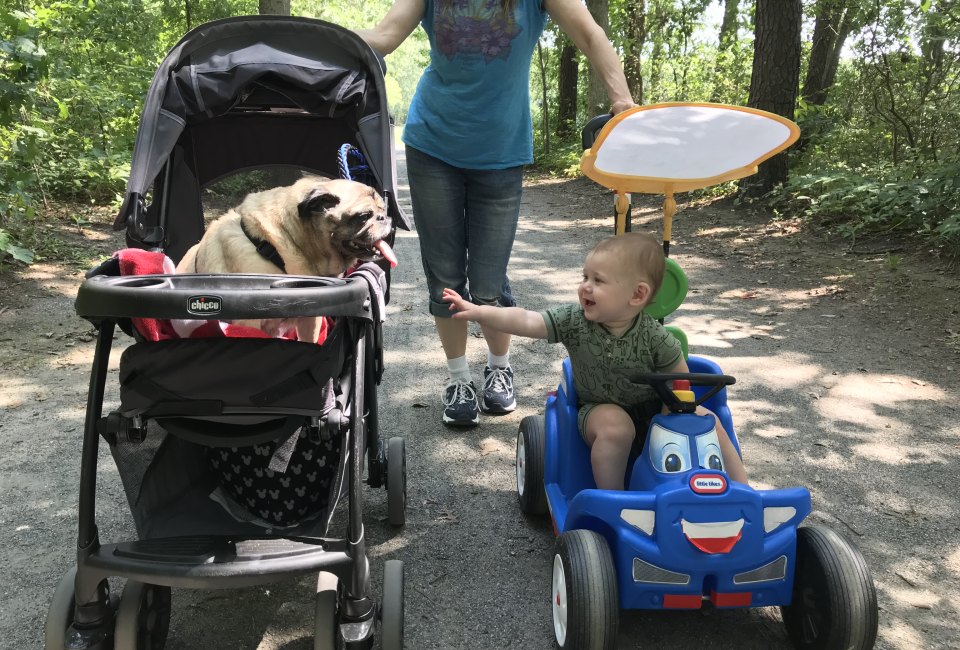 Both babies and dogs love stroller walks for some fresh air. Photo courtesy of Gina Massaro for Mommy Poppins