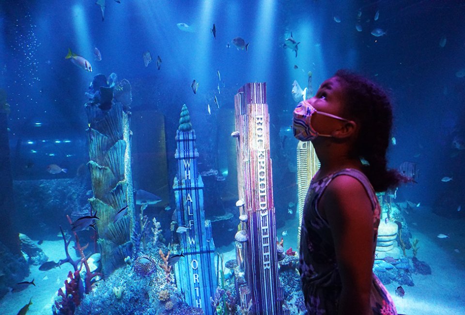 Gaze into the City Under the Sea at Sea Life Aquarium, one of our favorite kid-friendly openings in New Jersey in 2021. Photo by Jody Mercier