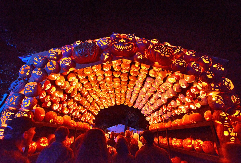 Book your tickets now if you want to see the annual spectacle that is The Great Jack O'Lantern Blaze at Van Cortlandt Manor. Photo by the author