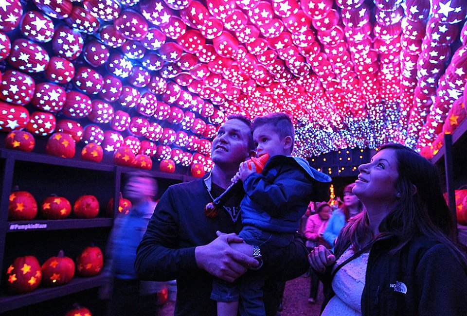 Book your tickets now if you want to see the annual spectacle that is The Great Jack O'Lantern Blaze at Van Cortlandt Manor. Photo courtesy of the Historic Hudson Valley