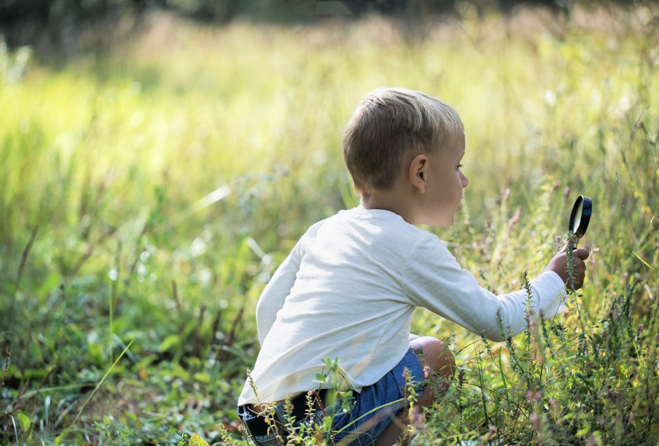 Go on a meadow bug hunt this weekend!
