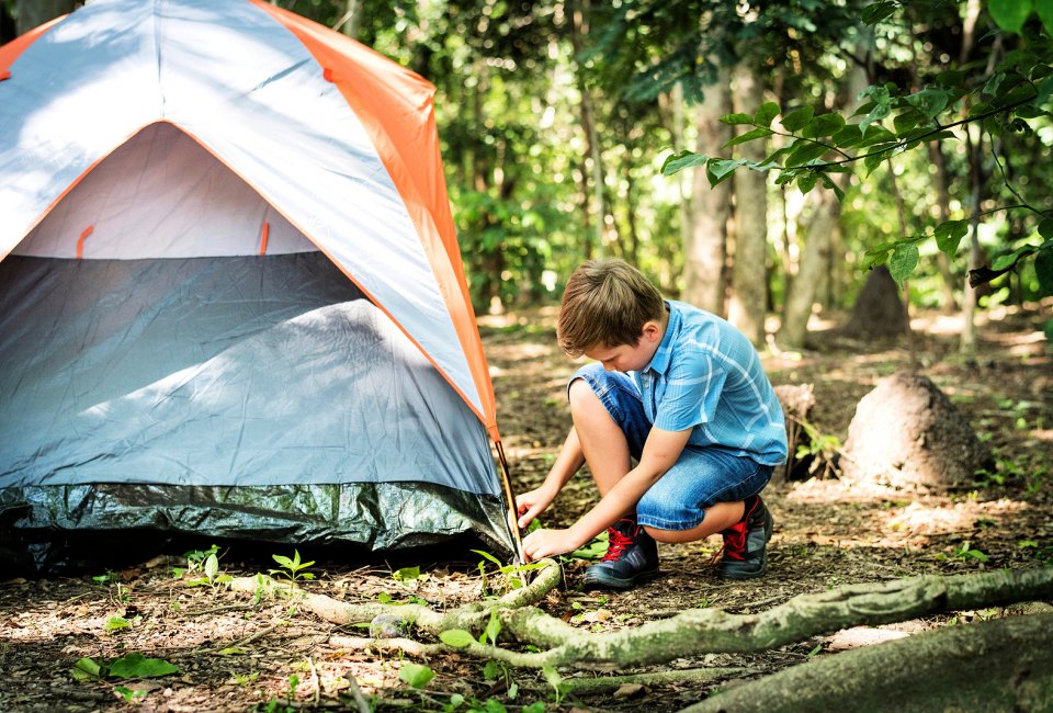 Put your young helpers to work and you can all sleep under the stars this weekend.