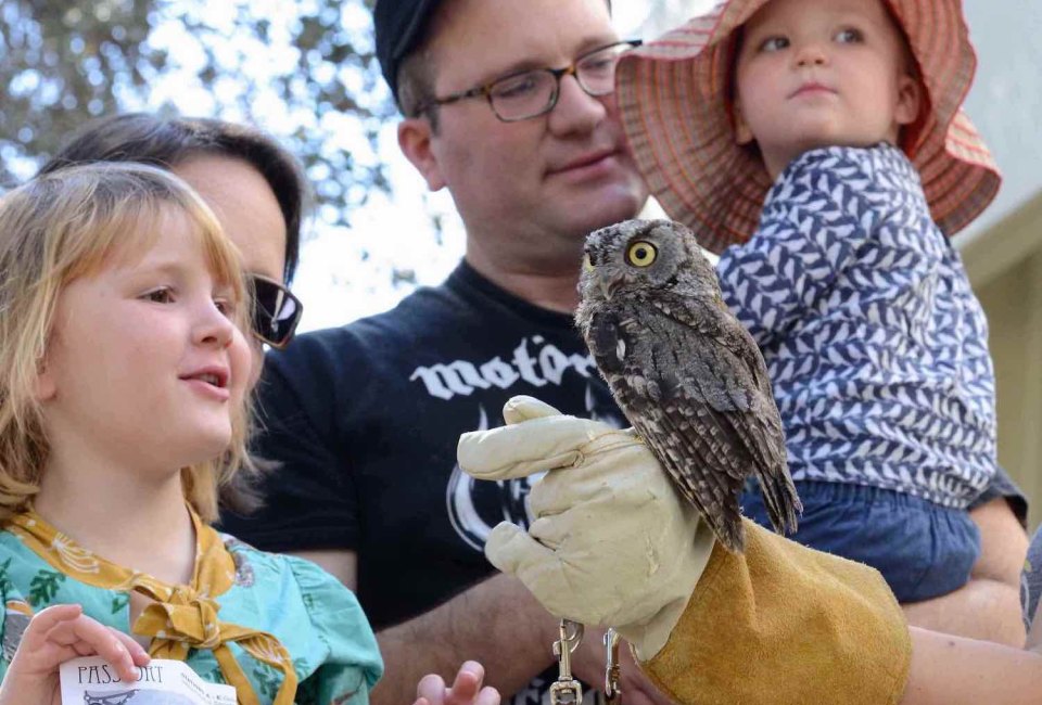 Family Bird Festival
