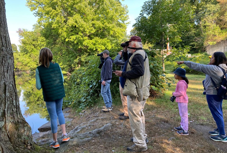 Spring Birding for Families at Sheldrake - with Doug Bloom