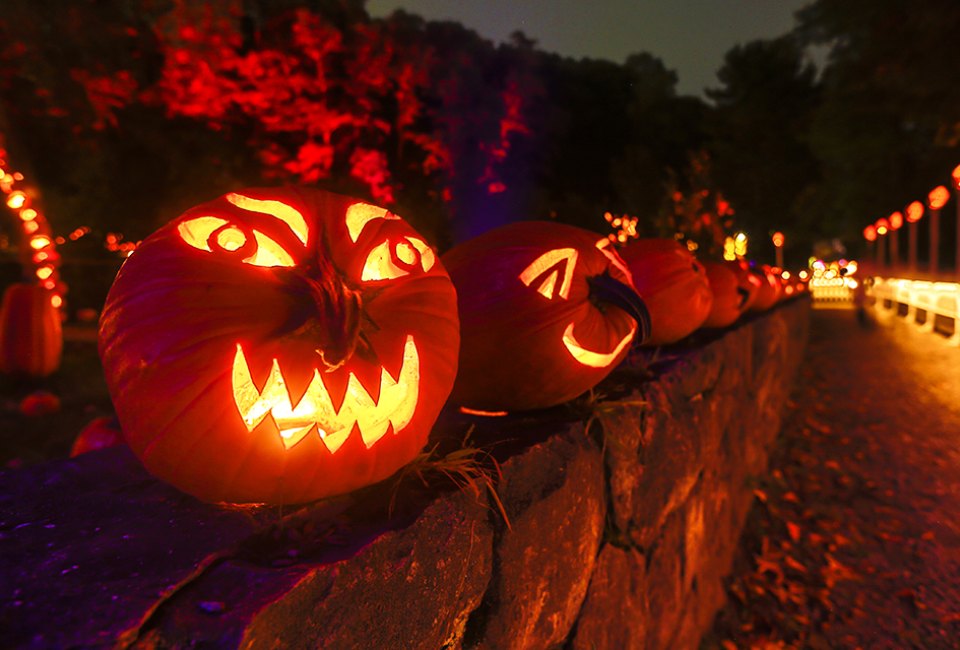 The Great Jack-o'-Lantern Blaze returns to Van Cortlandt Manor for its 20th anniversary season.