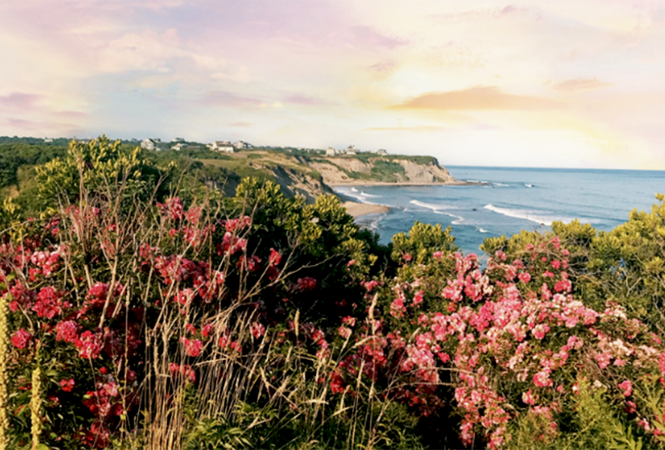 Wander the trails near the cliffs  on Block Island. 