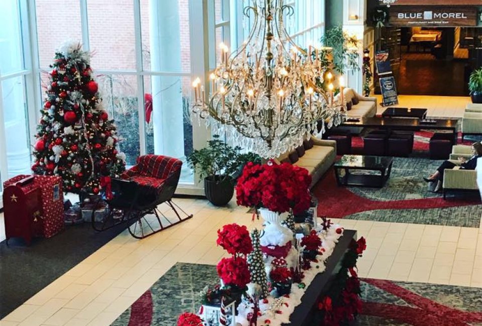 Blue Morel is open on Christmas and festively decorated