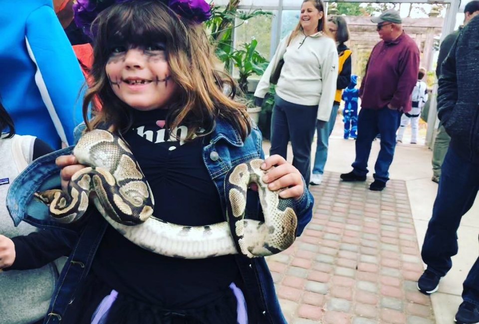 Boo at the Zoo. Photo by Ally Noel