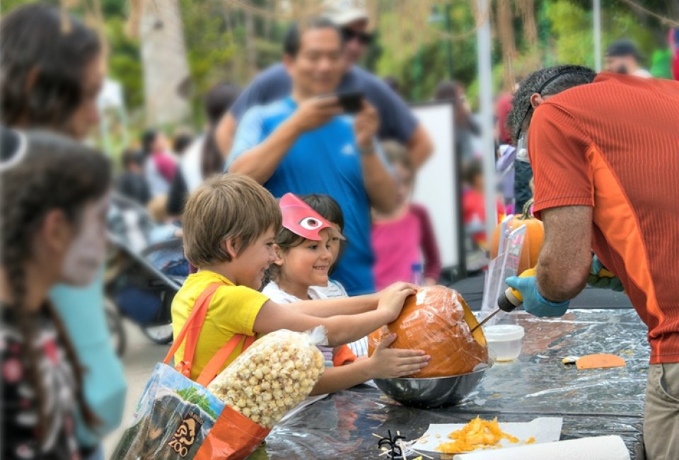 Learn from the pros at the LA Zoo's pumpkin carving stations. Photo by Jamie Pham