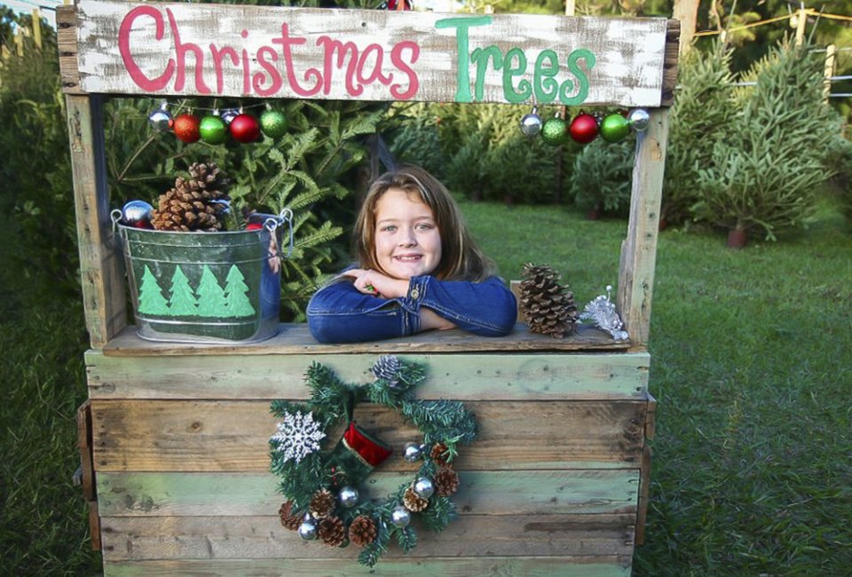 Christmas tree farms near Boston provide a magical holiday moment for families.