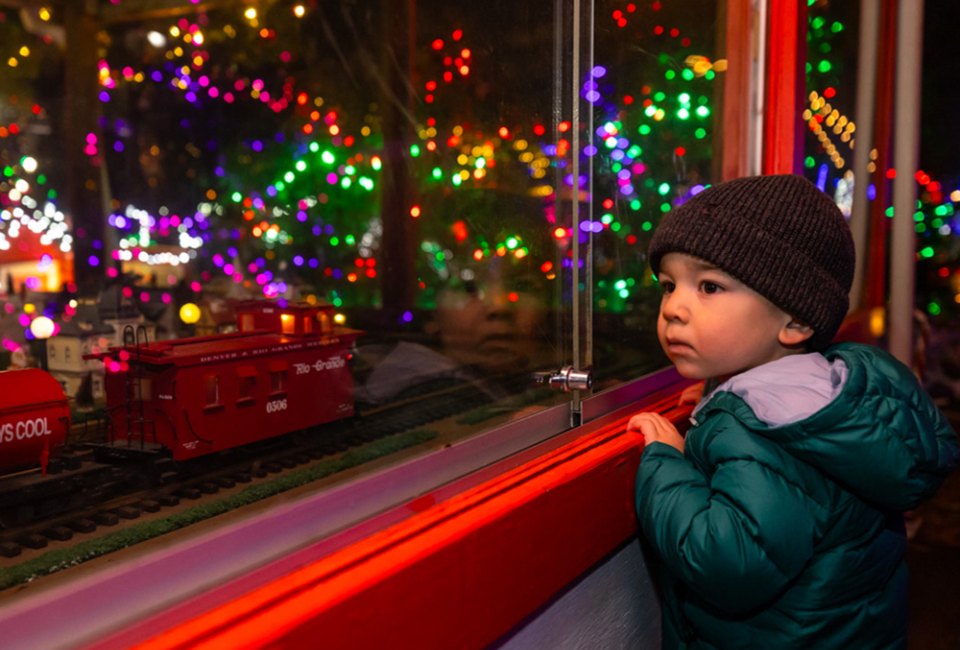 Winter lights are shining bright at the top things to do in Boston this weekend! Photo by Melissa Blackall courtesy of the Stone Zoo.