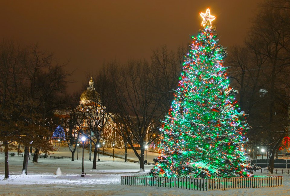 The Boston Common tree lighting marks the holiday season in the city. Photo courtesy of Boston Park Plaza