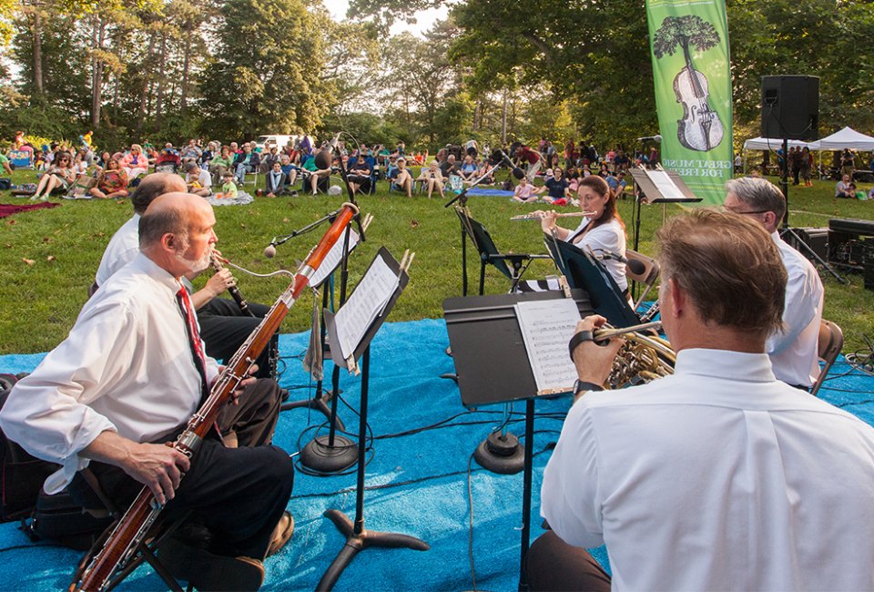 Boston Landmarks Orchestra Ensemble perform at Pinebank Promontory. Photo courtesy of Emerald Necklace Conservancy