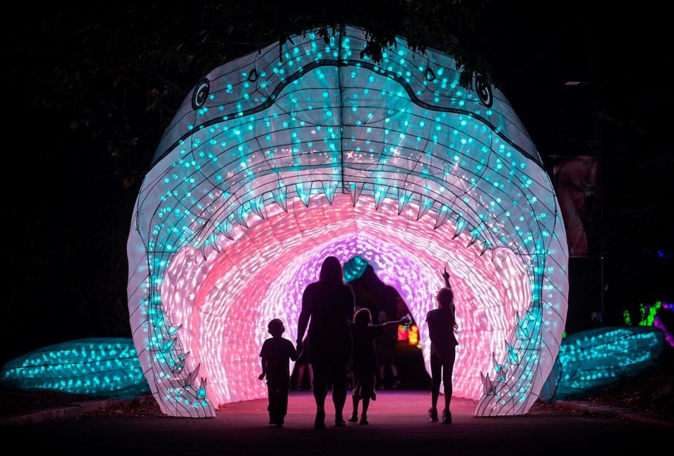 Boston Lights at the Franklin Park Zoo is now open on a nightly basis. Photo courtesy of Zoo New England